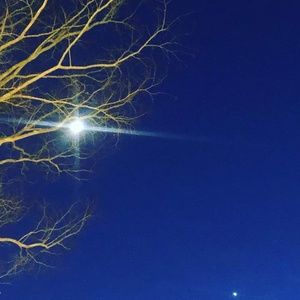 Meet your Posher, Gretchen